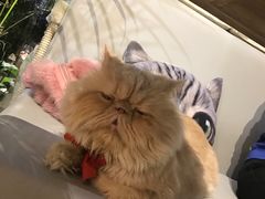 -小时光咖啡馆(开森度假森林店)