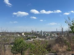 -白水寺森林公园