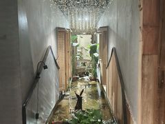 -邈墨茶馆(凤起路店)