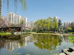 -木塔寺遗址生态公园