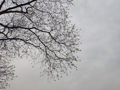 -昆山城市生态森林公园