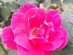 -韶关经律论国际酒店温泉