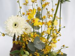 -花到家(富贵鸟花艺行)