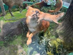 -国家自然博物馆