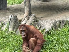 -贵州森林野生动物园