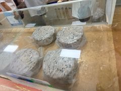 -杨招娣糕点(装驾桥巷店)