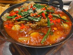 -杨记隆府(南坪店)