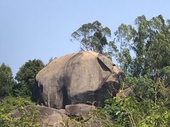-火炉山森林公园