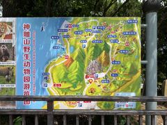 -西霞口神雕山野生动物世界