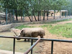 -大连森林动物园