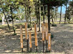 -宜兴龙背山森林公园