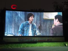 -枫花园汽车电影院(朝阳公园店)