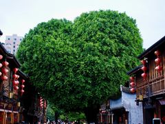 -三坊七巷历史文化街区