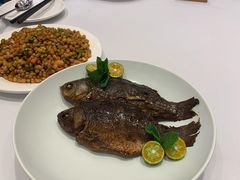 -紫光园·烤鸭·北京菜(劲松店)