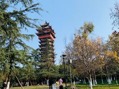 -塔子山公园