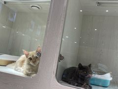 -乐宠宠物店(世纪金源店)