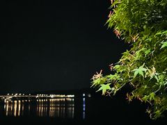 -宝荣鱼馆·临湖之宴(千岛湖店)