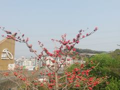 -福道