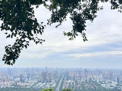 -大蜀山国家森林公园