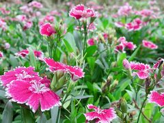 -文华公园(禅城区)