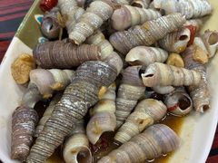 -贞姨美食·老字号海鲜大排档