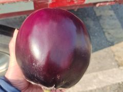 -茶百道(盛京大奥莱店)