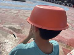 -西双版纳傣族园
