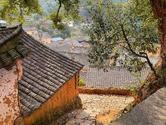 -杨家堂村