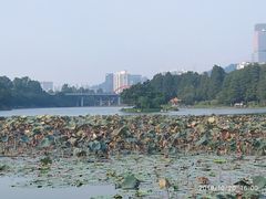 -人民公园(罗湖区)