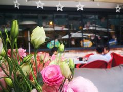 粉绿色桔梗花-酒肆浅葱•烧烤•龙虾•排档(卓悦intown店)