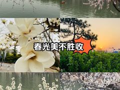 -颐和园