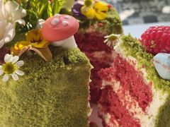 -5Cake五度无蔗糖低脂蛋糕(陶然亭店)