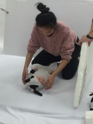 -倾城宝贝儿童摄影(浦东金谊店)