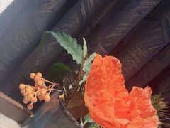 -和子足浴SPA会馆(东方之门店)