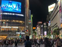 -涩谷区