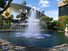 -拉斯维加斯永利酒店