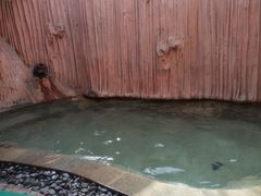 -仁爱团泊湖温泉中心