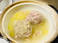 -丁老爷子苏香圆