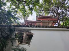 -南山植物园
