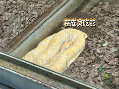 -柳州市动物园