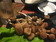 -煲宫猪肚鸡(昆山金鹰国际购物中心店)