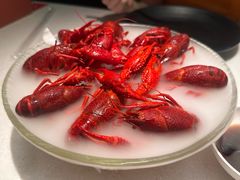 -红盔甲·小龙虾(天钥桥店)