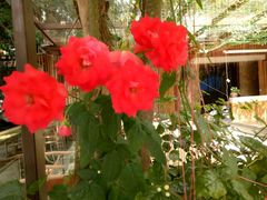 景观位-渔太泰漓江小馆·广西融合菜(西街店)