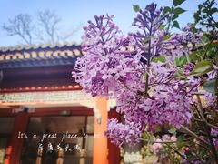 -居庸关长城