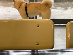 -微焙咖啡工厂(海峡创意产业园·红坊店)