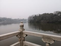 -梅园