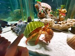 -太平洋海底世界