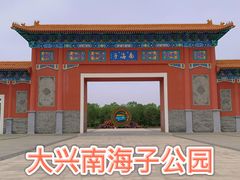 -南海子公园