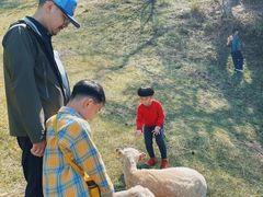 -神户市立六甲山牧场