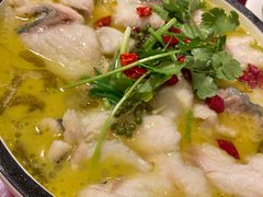 -旭龙鱼头王(航华店)